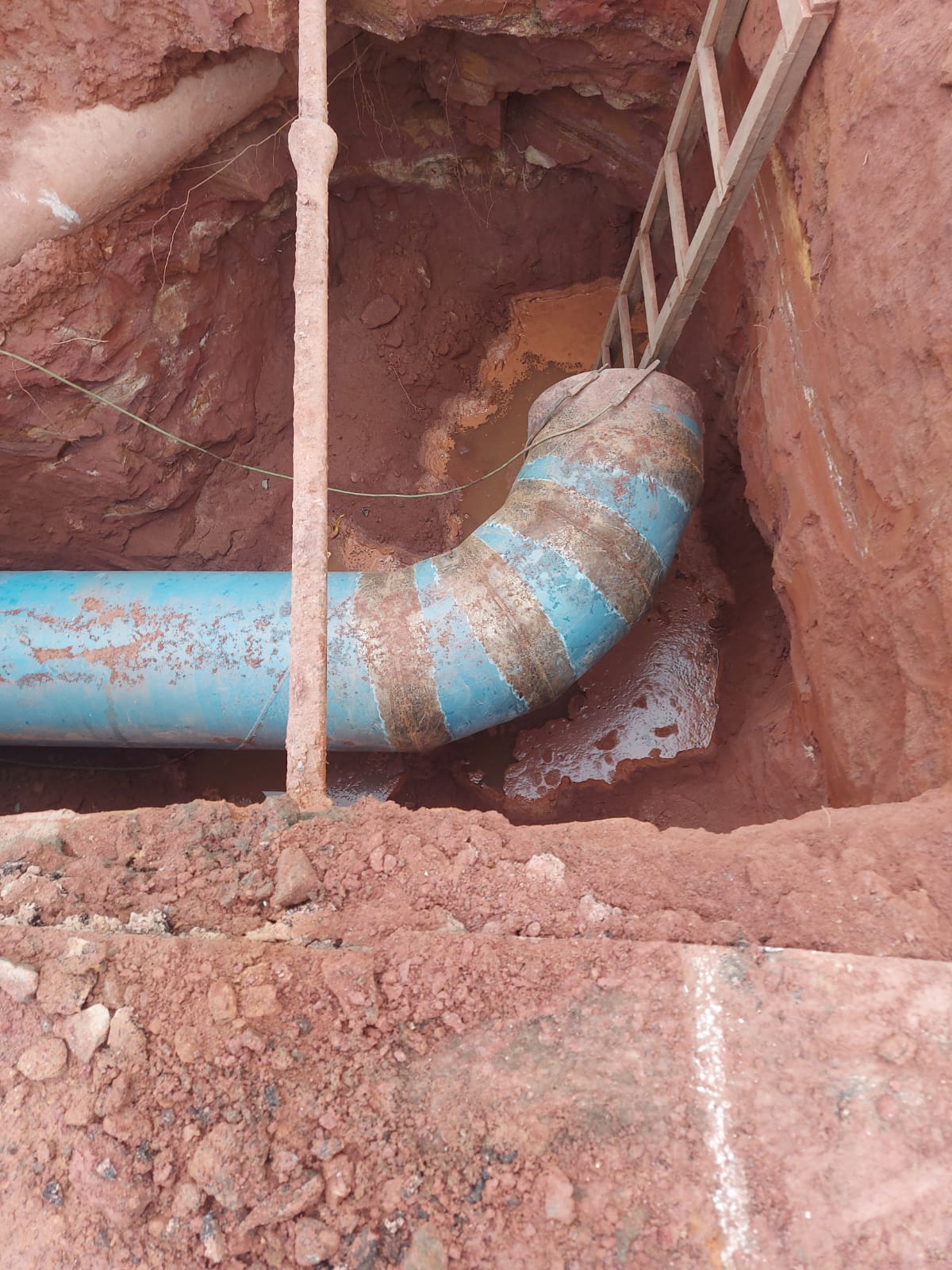 WhatsApp Image 2022-09-27 at 17.19.29 (1).jpeg